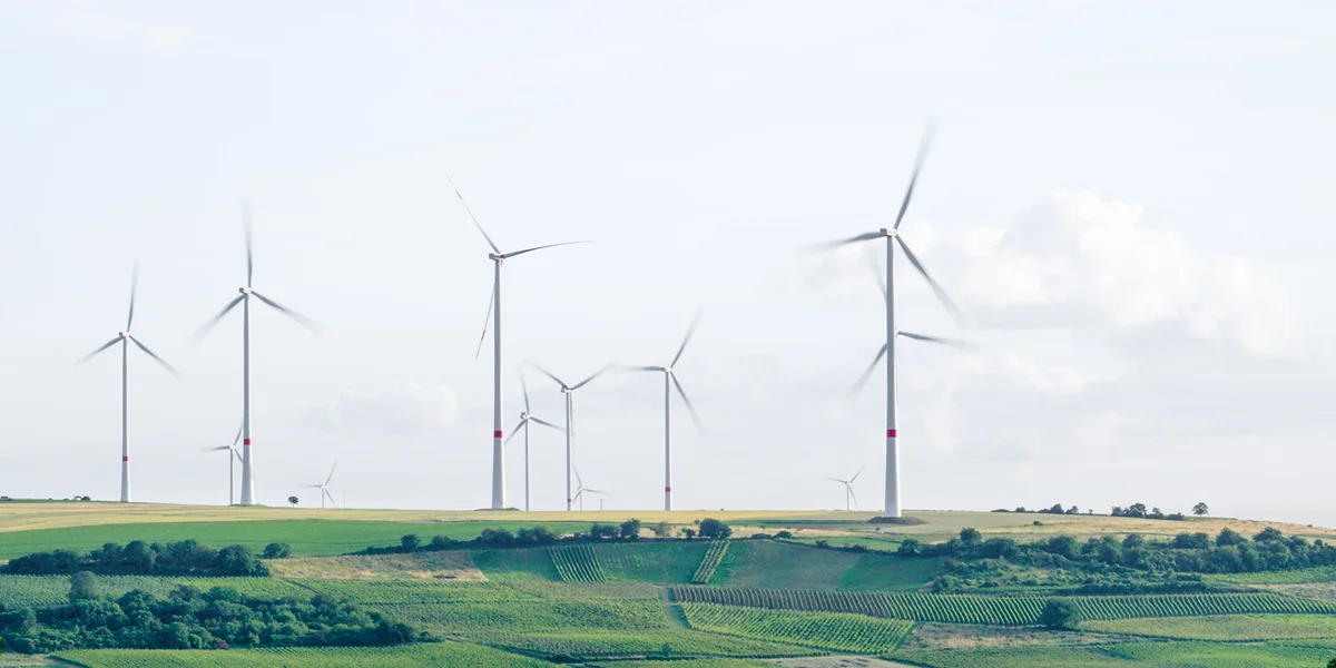 Mouvement écologique: "Regierung verschéinert de Klimabilan"