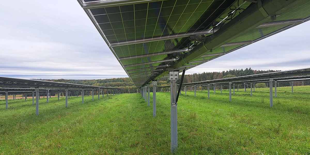 De Wirtschaftsministère lancéiert e weideren Appell fir Agri-Voltaikanlagen ze bauen | © Ana Angel