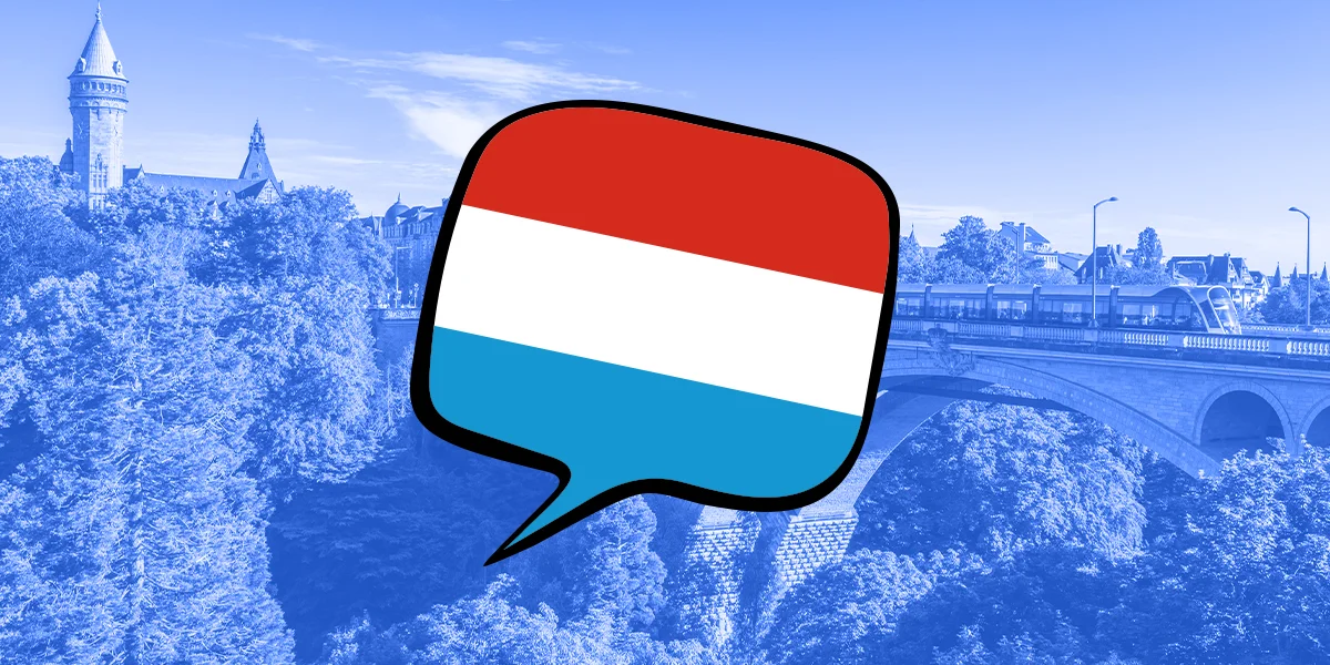 Reform vum Gesetz iwwer Privatschoulen: Och do sollen et Lëtzebuergesch-Coursë ginn | © Illustratioun: radio 100,7/Adobe Stock