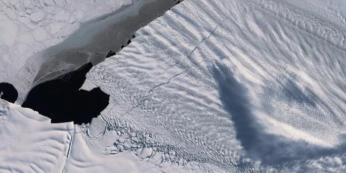 Copernicus: Allzäit-Minimum bei Mieräis am Februrar 2025 | © ESA