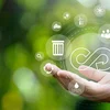 Manner Ressourcëverbrauch dank Kreeslafwirtschaft | © Bigstock