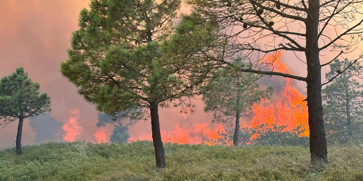 EU bereet sech an esou engem grousse Kader op Bëschbränn vir wéi nach ni | © Sécurité Civile