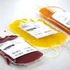 Bluttspenden: Sinn d'Konditiounen ze streng? | © Croix-Rouge luxembourgeoise