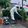 Eichenprozessionsspinner: Befall dëst Joer extreem | © Diane Lecorsais