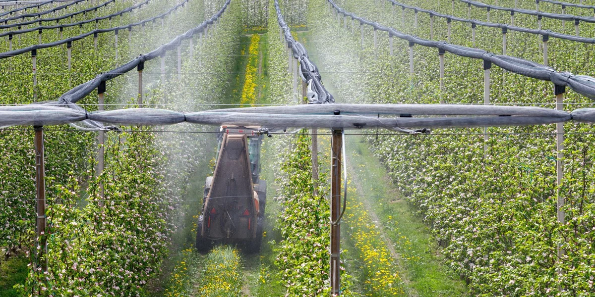Ëmstridde Pestizide ginn erëm erlaabt: Loi d’urgence agricole a Frankräich ugeholl | ©  CHROMORANGE | Philipp Walther