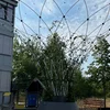 Kiemer Kannerrot wëllt méi Begréngung am Schoulhaff | © 100,7