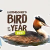 natur&ëmwelt sicht nom Vull vum Joer 2027