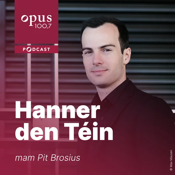 Hanner den Téin