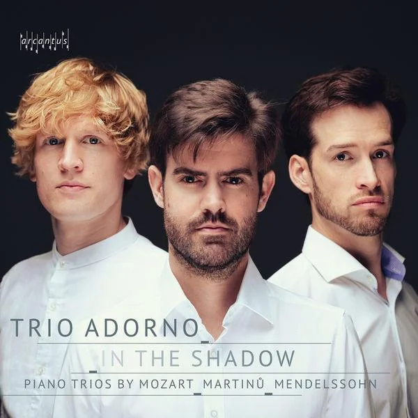 Pianos Trio an Do Majeur, I. Allegro moderato