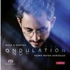 Ondulation